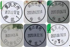 亚洲 久久久久久一二三区免费